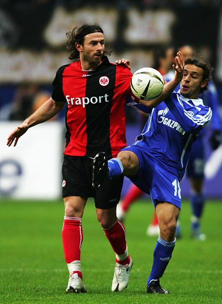 的功劳归于 的功劳归于